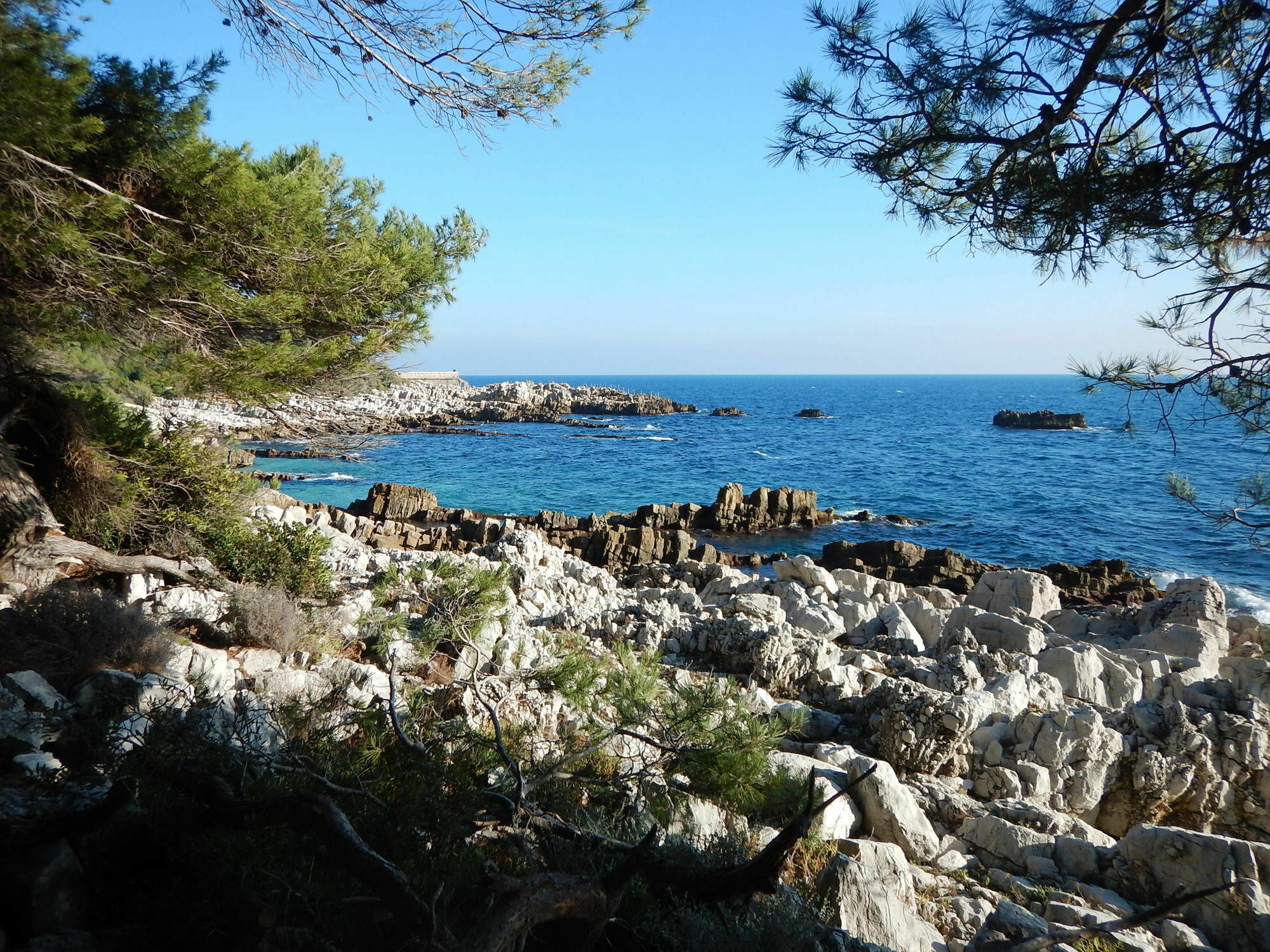 Hotel Miramar- Cap D'Antibes - La Garoupe Plage Exterior photo